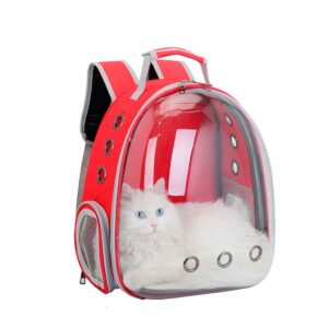 Mochila Transporte Pet Cachorro Gato Transparente - Femea