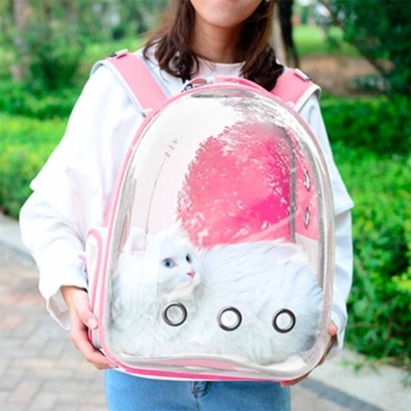 15289168048_Mochila_Transporte_Pet_Cachorro_Gato_Transparente_Femea205.jpg